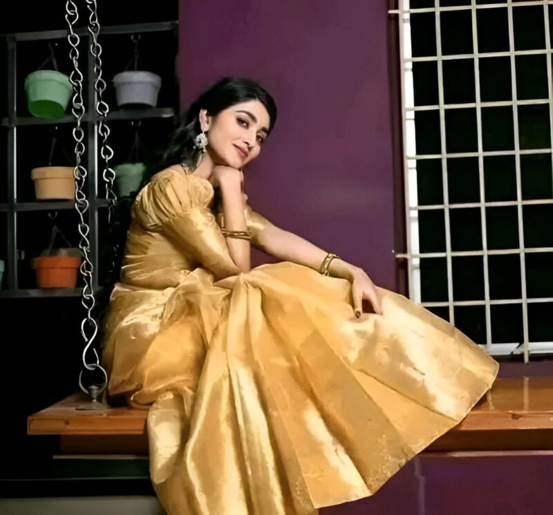 Elegant GoldenTissue Silk Saree with Zari Border – SHSTORE Collection