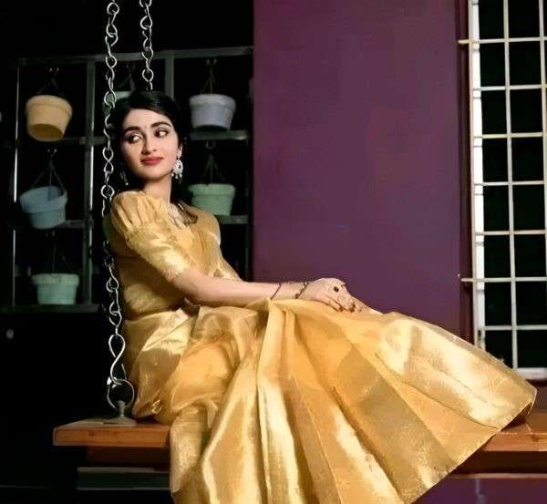 Elegant GoldenTissue Silk Saree with Zari Border – SHSTORE Collection - Image 4